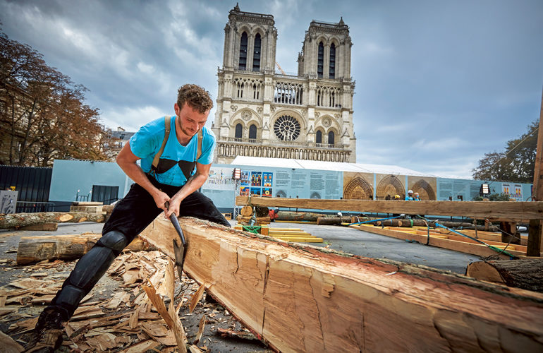 Saving Notre Dame