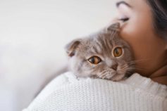 7 tips to help turn your cat into a friendly member of the family