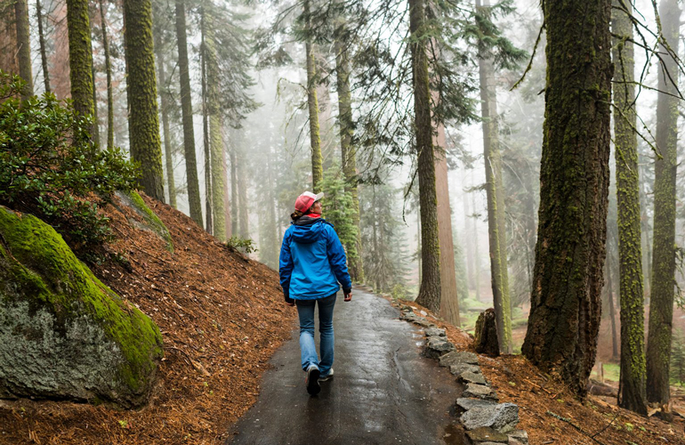 Discovering the benefits of walking meditation