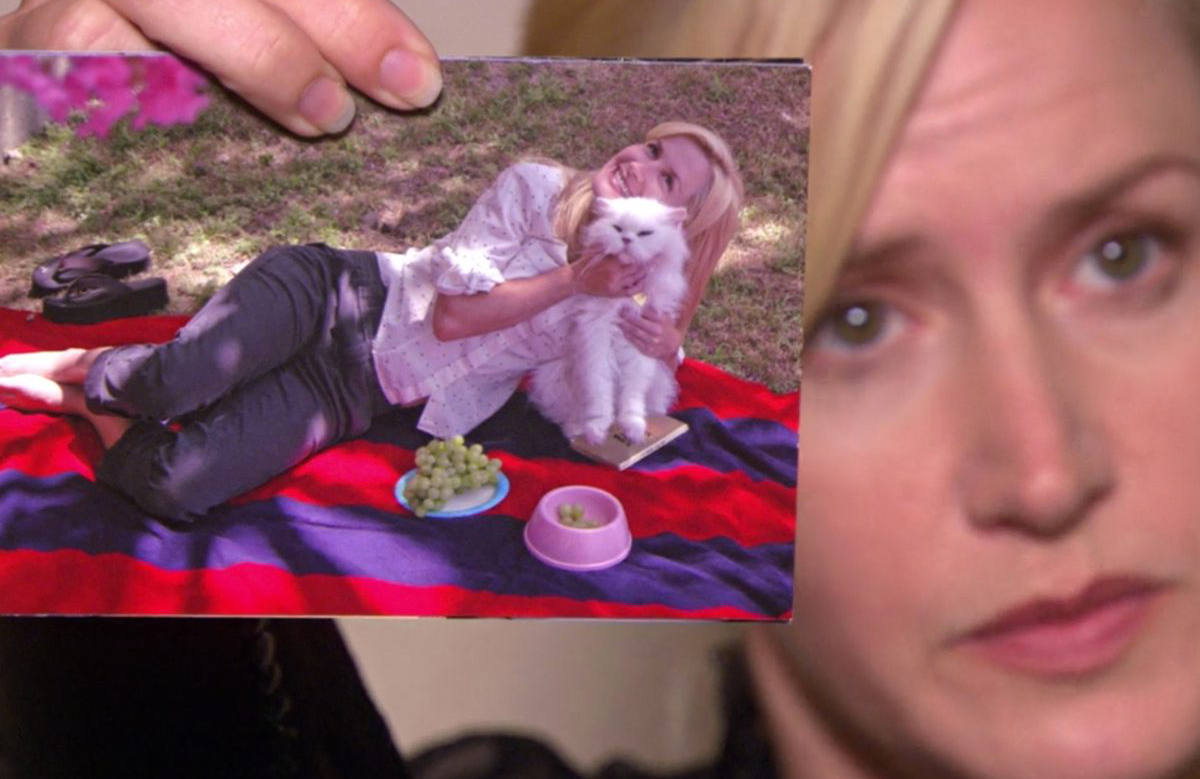 Angela on being a cat lover