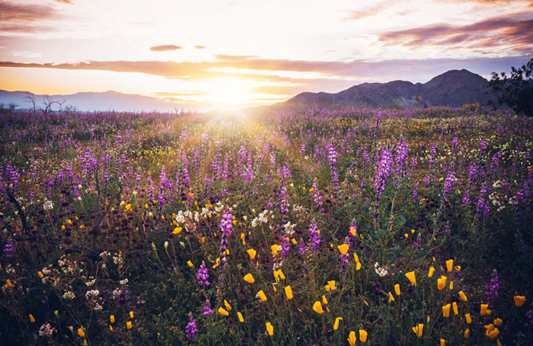 A change of scenery can help