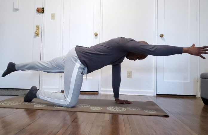 Quadruped extension