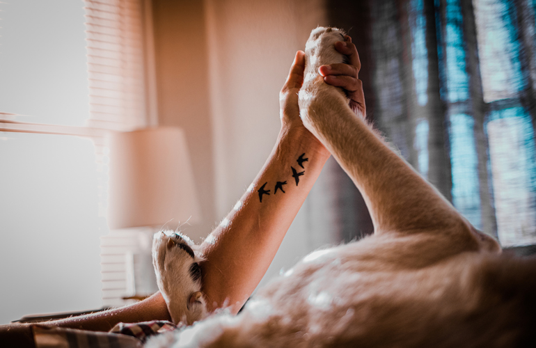 Can emotional support dogs really make a difference?