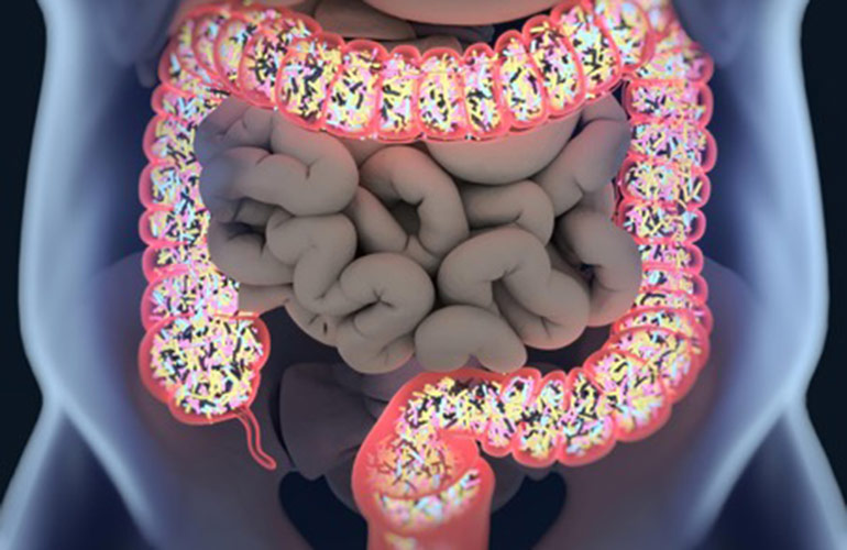 They mind their microbiome