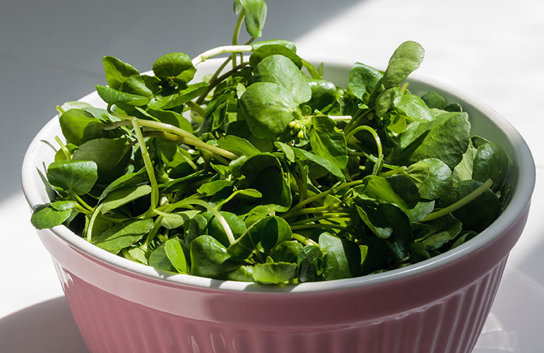 Greens clean