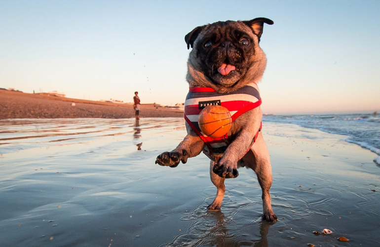 This beachgoer