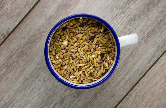 Birdseed