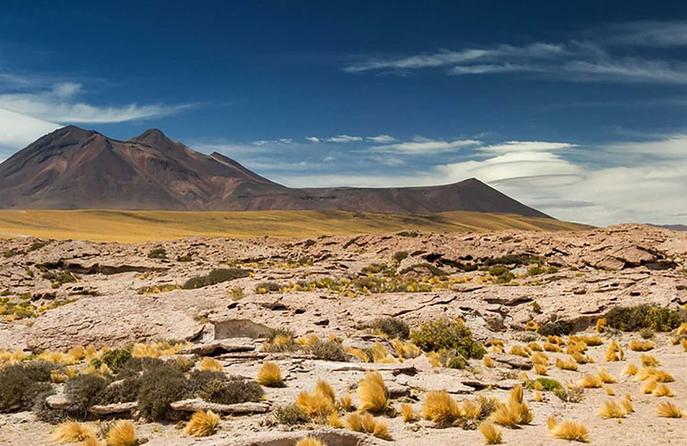 The driest place on Earth: Atacama Desert, Chile