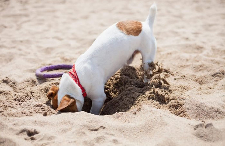 Stop digging!
