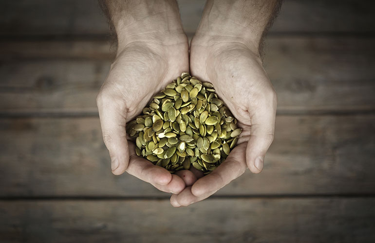 Pumpkin seeds