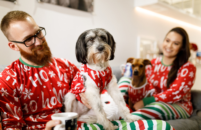 Holiday outfits for pets