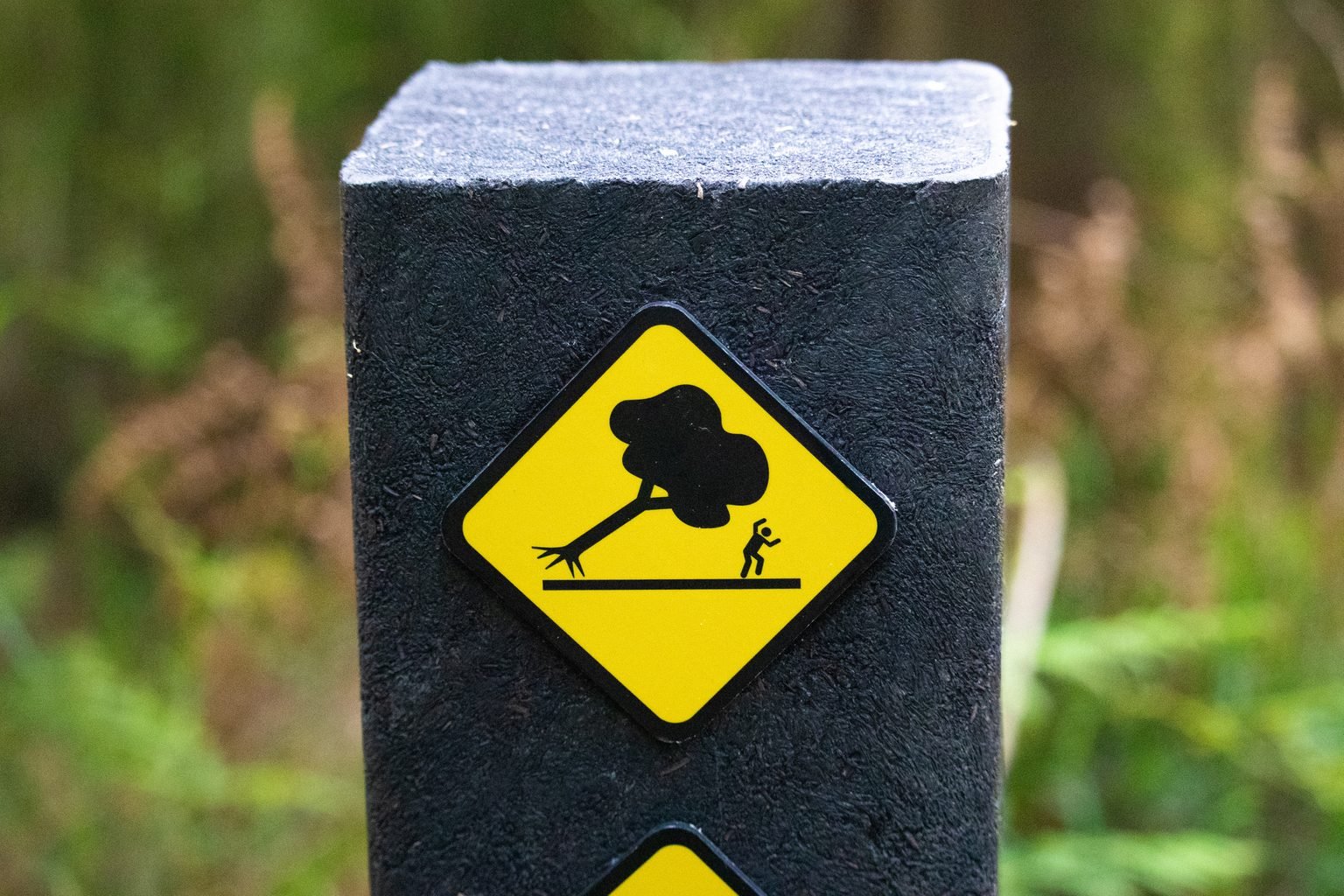 Watch your head