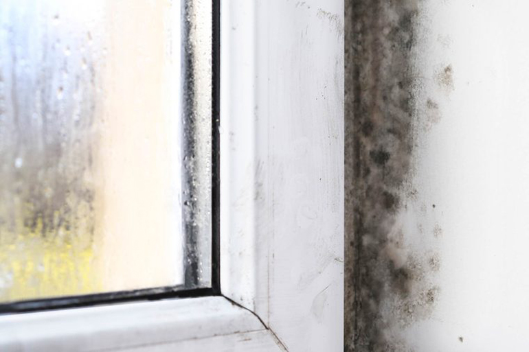Secret strips of mould