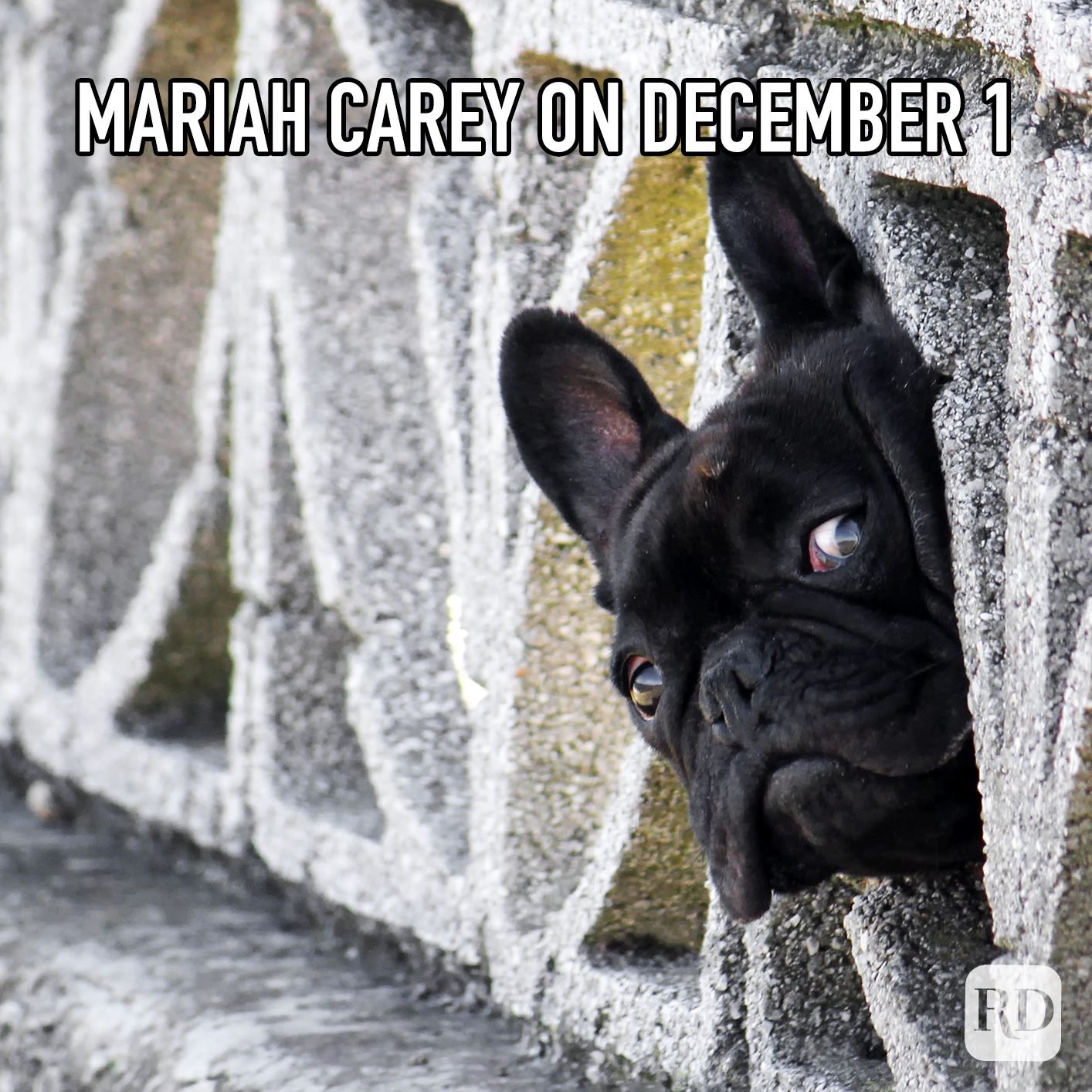 It’s that time of year again