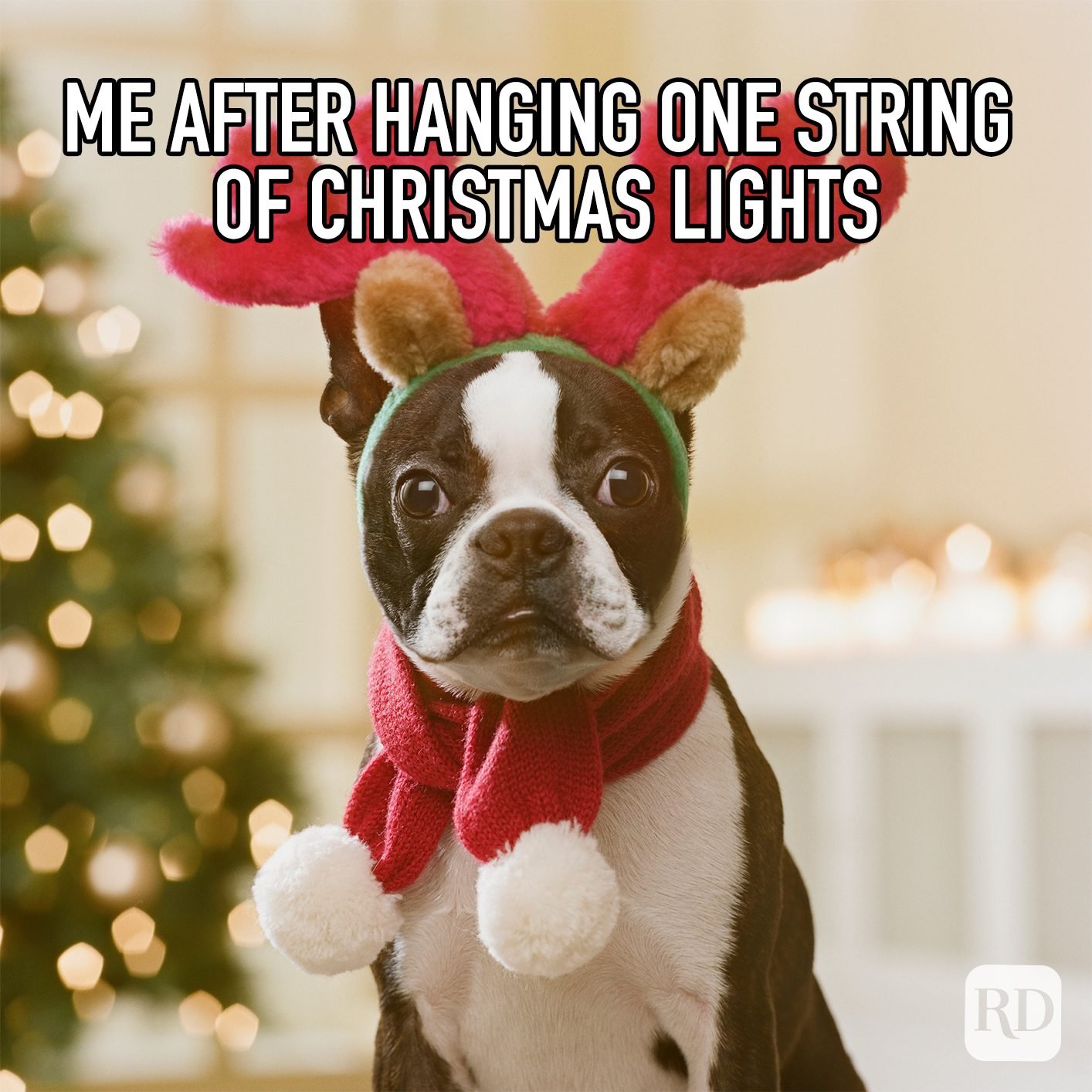 That Christmas feeling