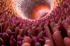 The ultimate guide to gut health