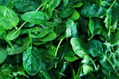 Spinach leaves