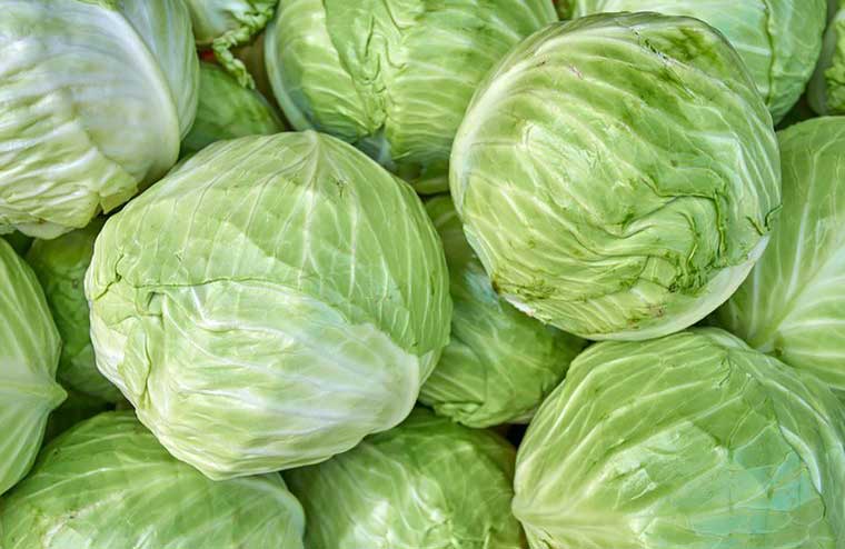 Cabbage, kale, Brussels sprouts