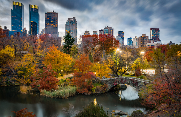 Central Park