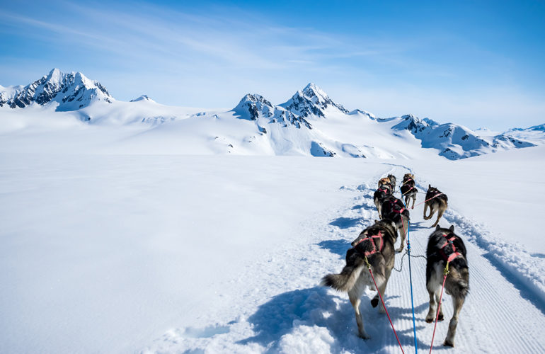 My Alaskan adventure