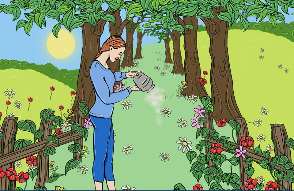 Scatter the ashes in their favourite place