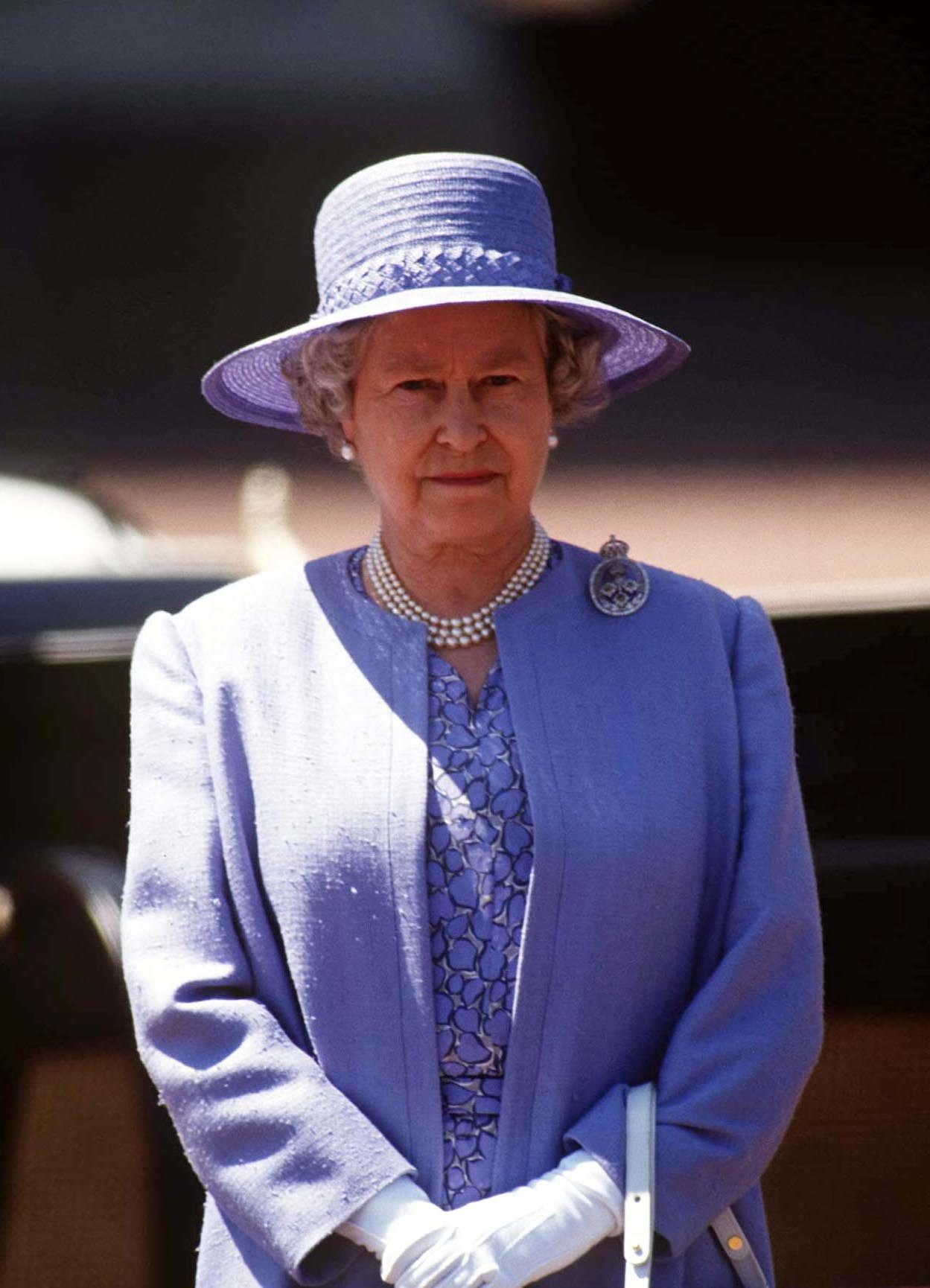 Lovely in lavender