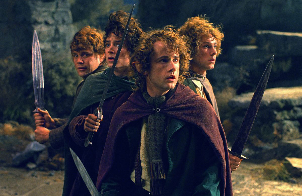 The Lord of the Rings: The Fellowship of the Ring (2001)