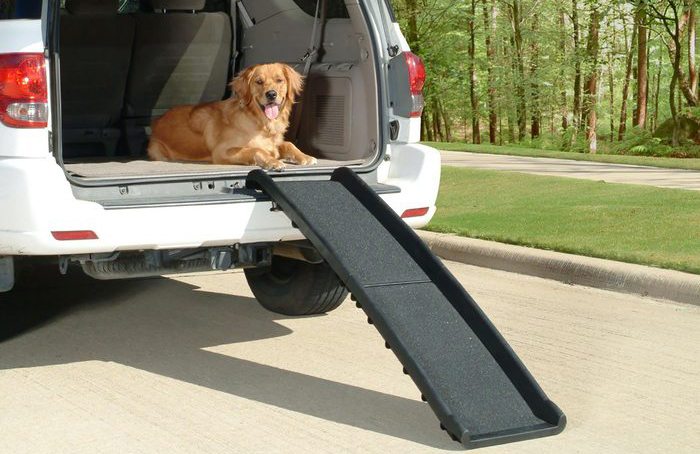 Get a ramp for big dogs