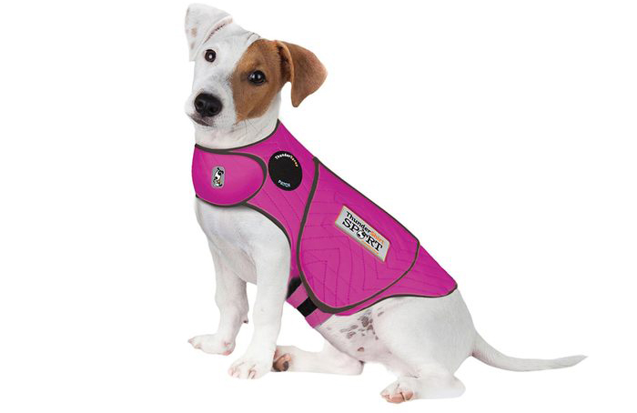 Consider protective pet wear