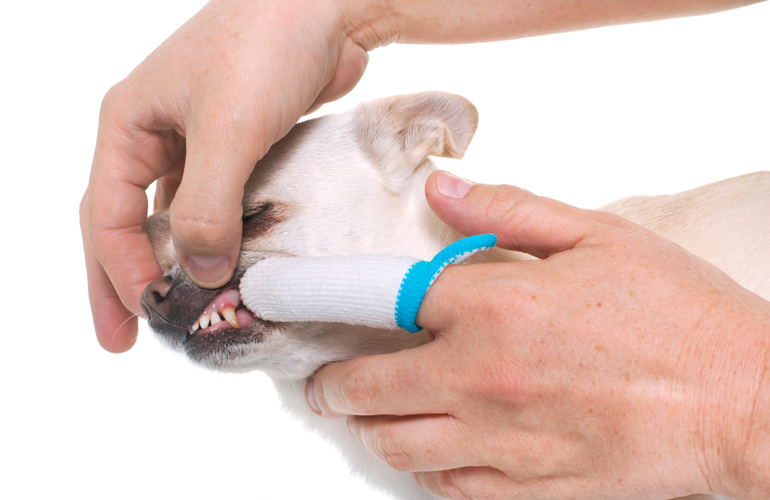 6. Clean teeth on one side