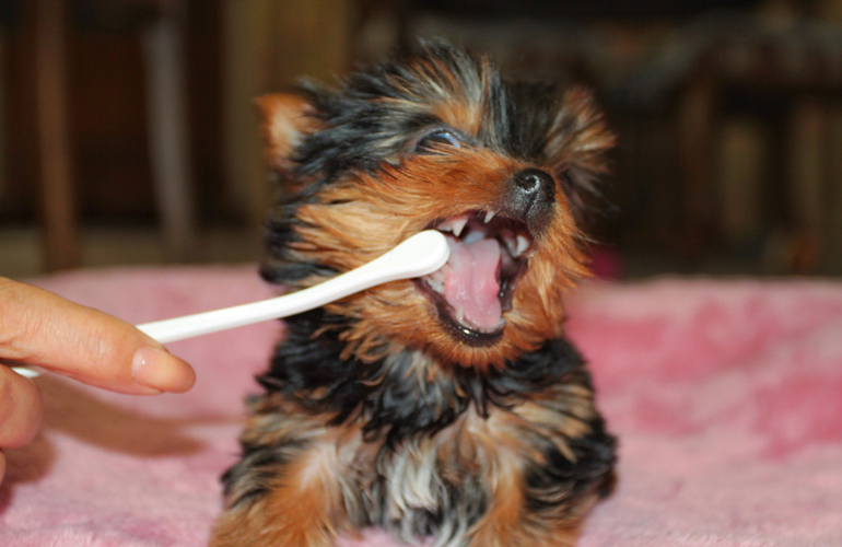 7. Clean teeth on the other side