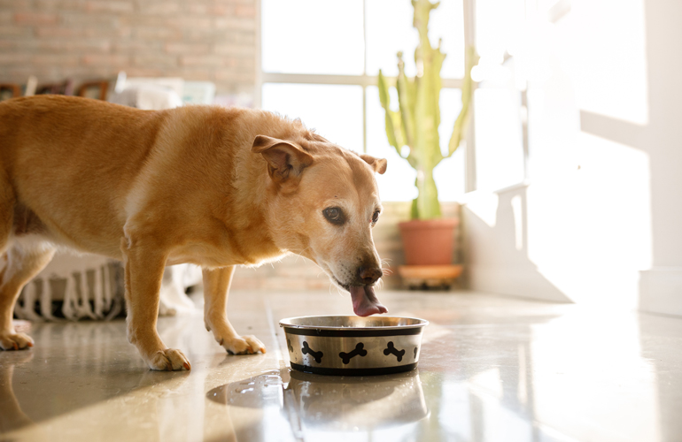 9. Add a dental rinse