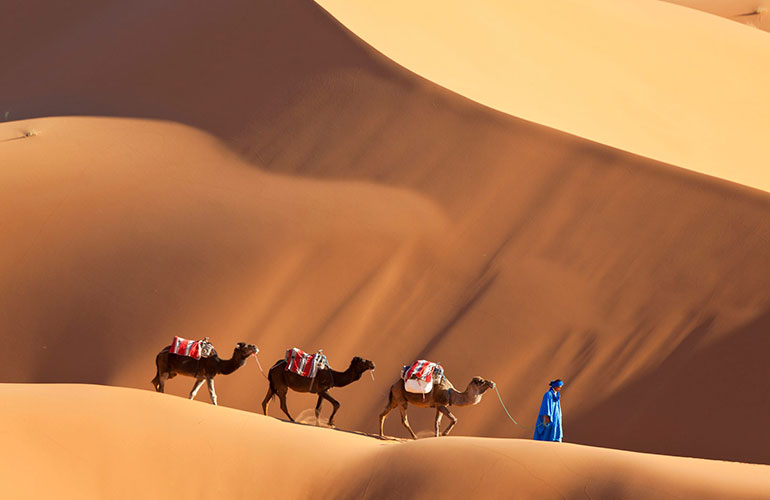 Erg Chebbi