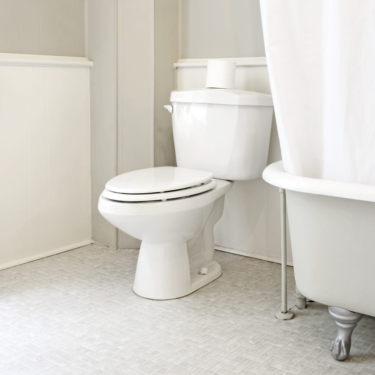Clean the toilet