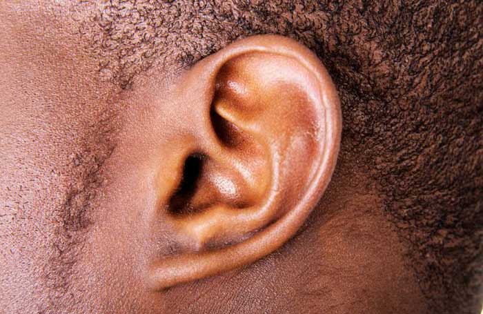 Ears