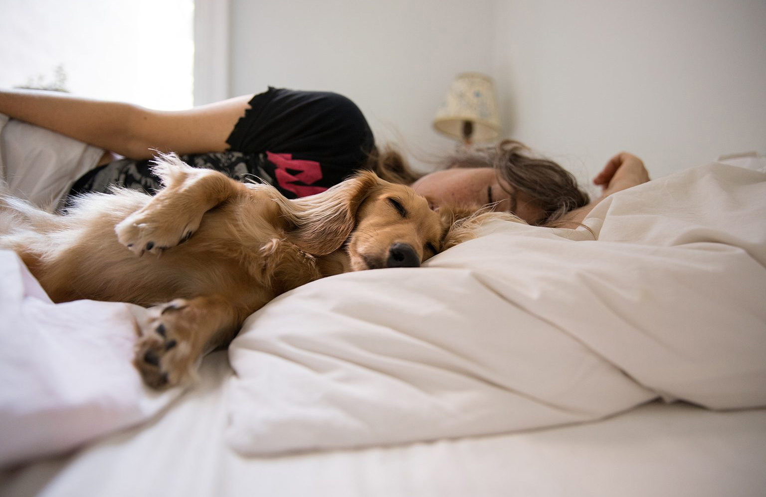 Kick your pooch out of bed