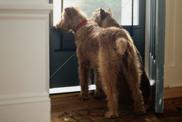 Bolting to the door