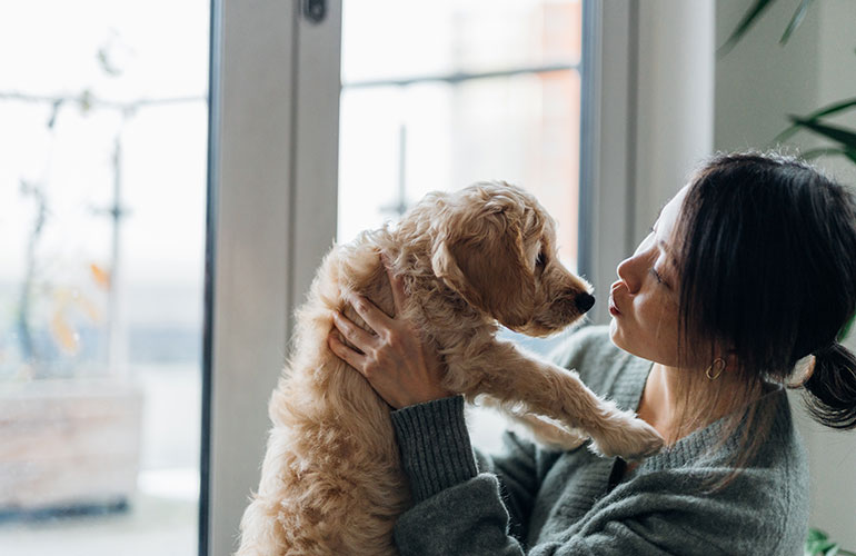 6. Your dog has an underlying medical condition