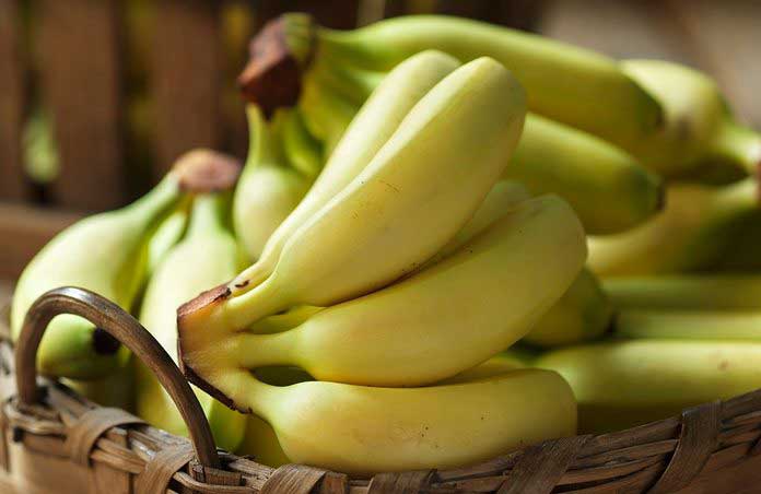 Bananas