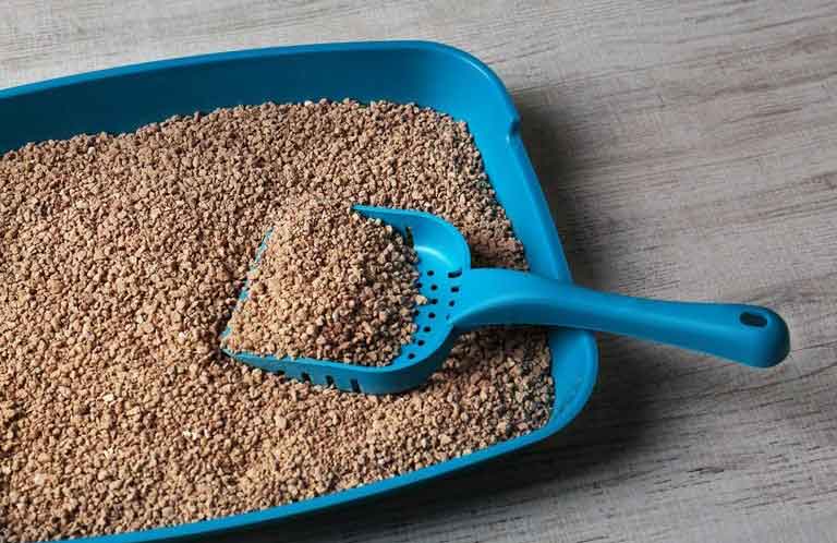 How to remove the smell of a kitty litter box