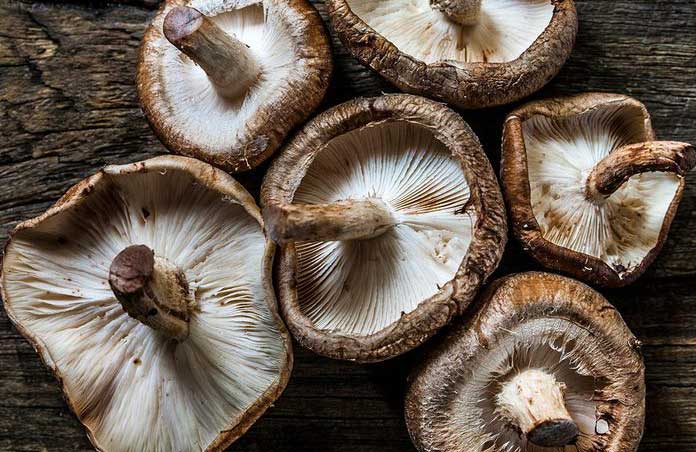 Mushrooms