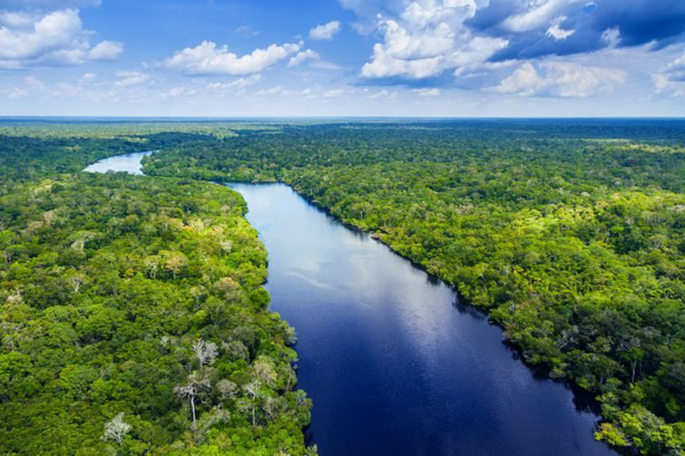 The swim ability of the Amazon River?