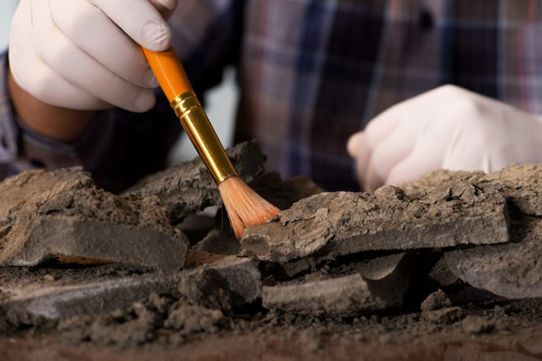 Geologist