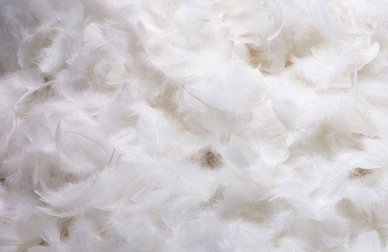 The material in your pillows matters