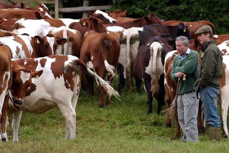He’s a proponent of organic eating