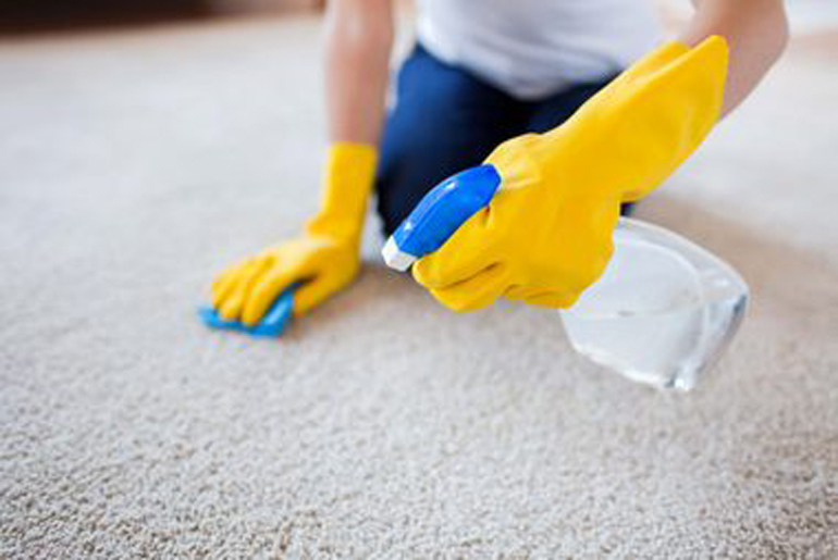 Leave carpet shampoo to the pros