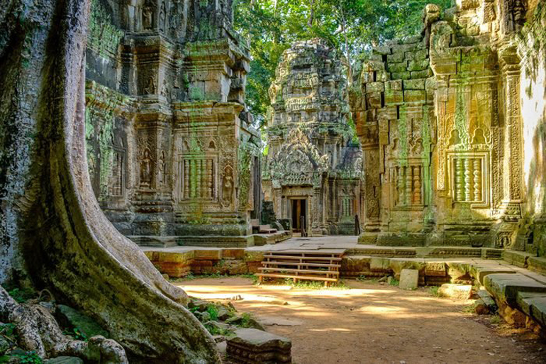 Ta Prohm Temple, Angkor, Cambodia