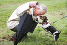 So long, corgis! Meet the new dogs moving into Buckingham Palace