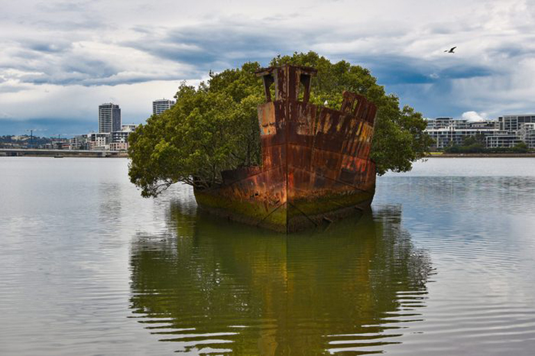 SS Ayrfield, Australia