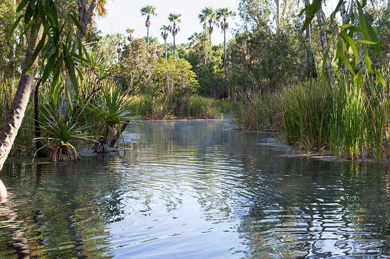 Mataranka Thermal Pool – Australia